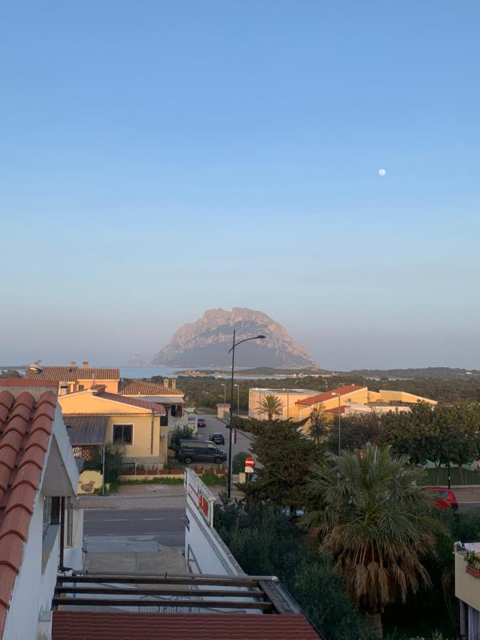 Bella Vista Su Tavolara Apartment Porto San Paolo (Sardinia)